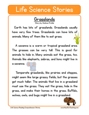 Second Grade Habitats And Biomes Worksheets - Have Fun Teaching