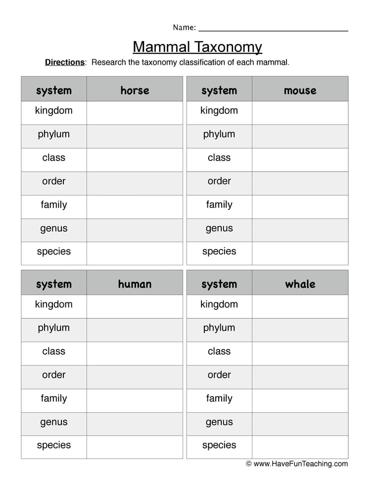 Mammal Taxonomy Worksheet - Have Fun Teaching