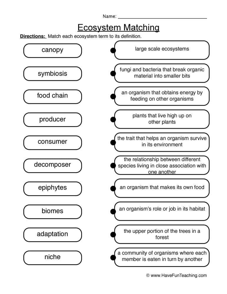 matching-ecosystems-worksheet-have-fun-teaching