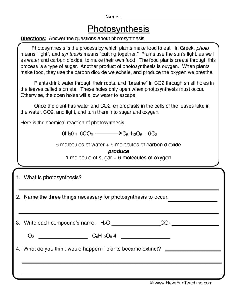 Fourth Grade Plants Worksheets - Have Fun Teaching