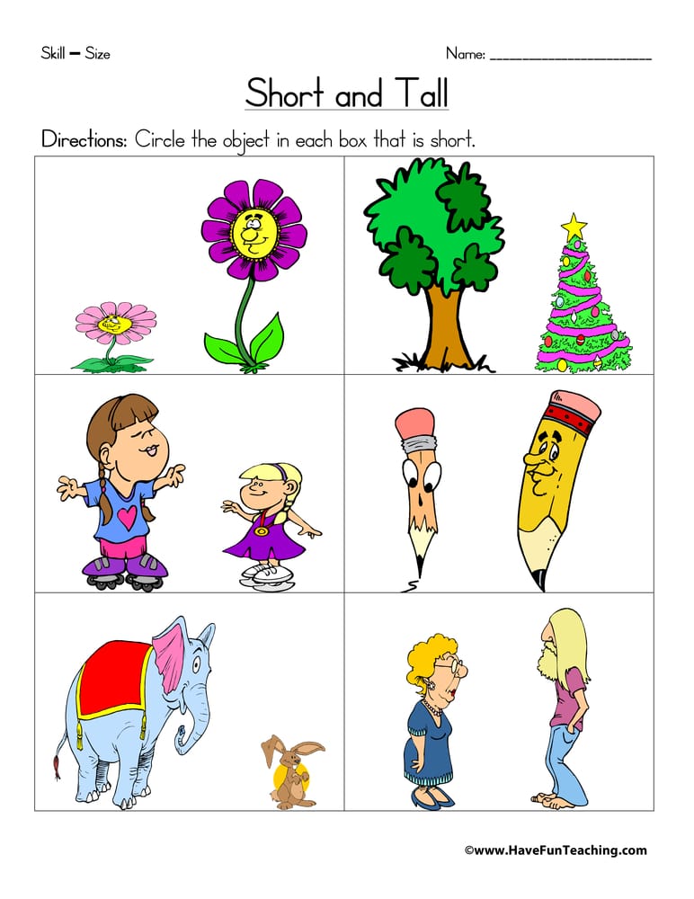 Short and Tall Worksheet - Have Fun Teaching