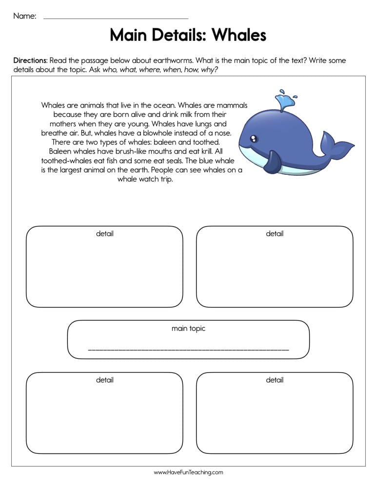 Main Details Whales Worksheet - Have Fun Teaching
