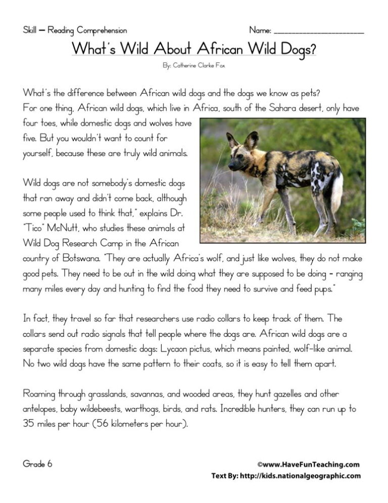 What's Wild About African Dogs Reading Comprehension Worksheet