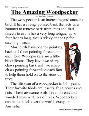 The Amazing Woodpecker Reading Comprehension Worksheet
