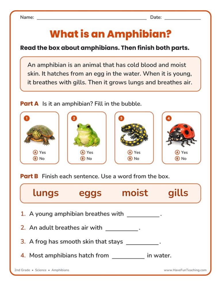 Amphibian Classification Worksheet