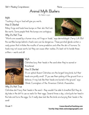 Animal Myth Busters Reading Comprehension Worksheet