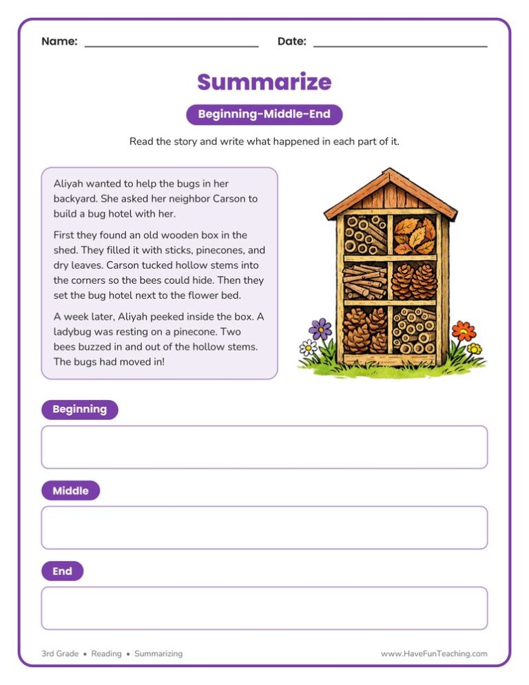 Insect Beginning, Middle, End Worksheet