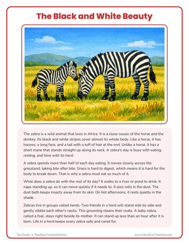 The Black and White Beauty Reading Comprehension Worksheet