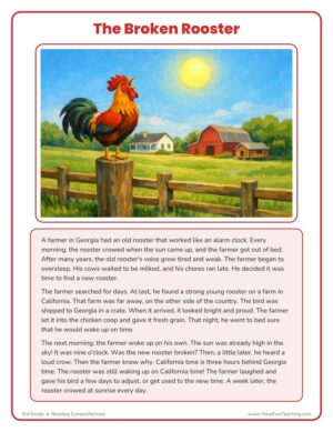 3rd Grade broken rooster reading comprehension worksheet