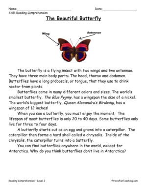 Butterflies Reading Comprehension Worksheet