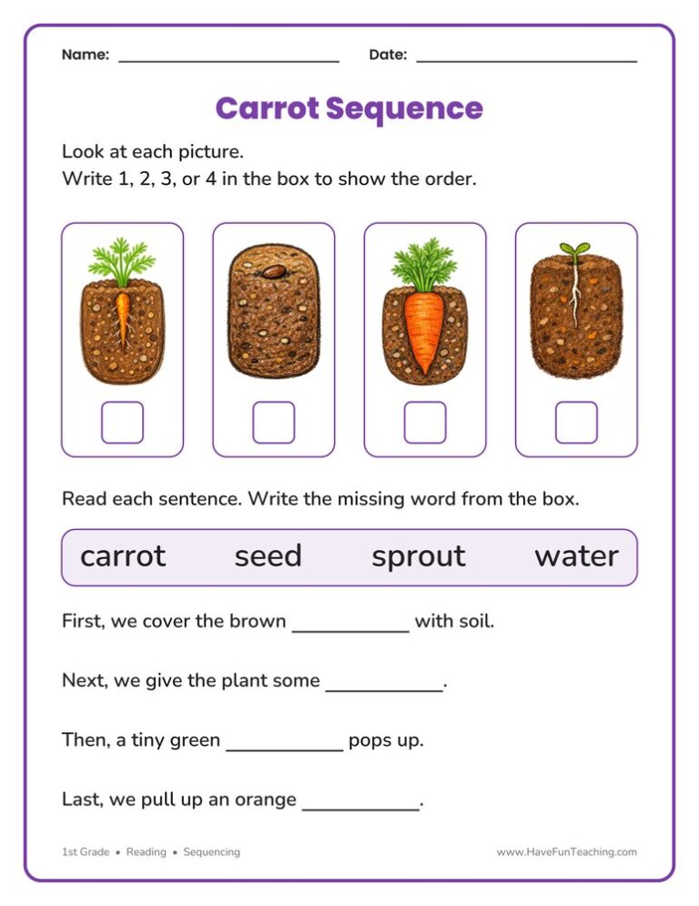 Planting A Carrot Seed Sequencing Worksheet