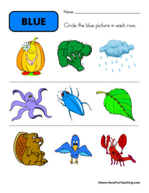 Circling Examples of Blue Worksheet