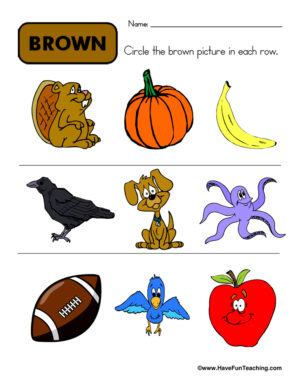 Circling Examples of Brown Worksheet