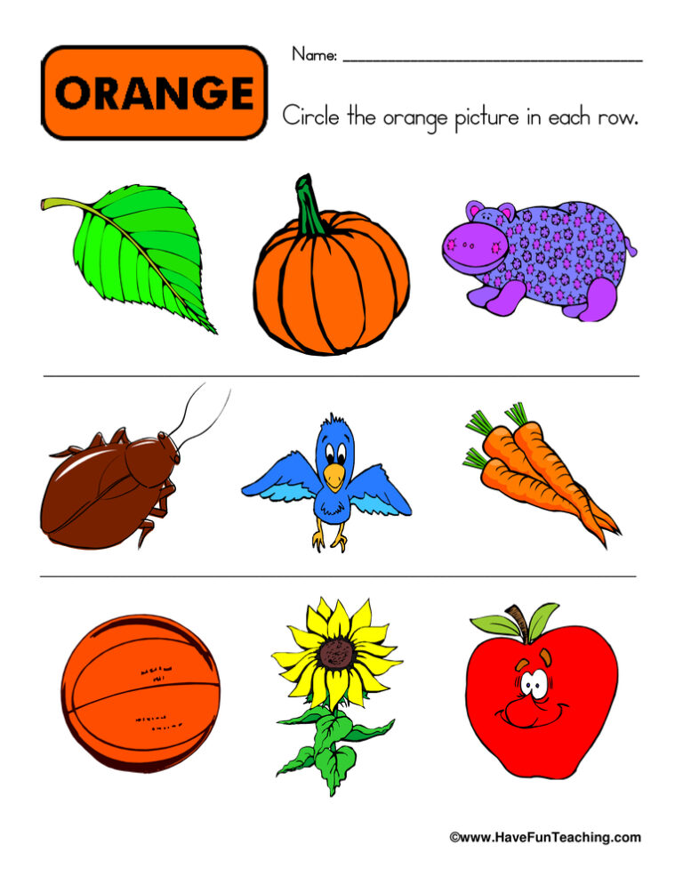 Circling Examples of Orange Worksheet