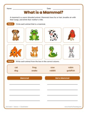 Second grade mammal classification worksheet with animal pictures to circle