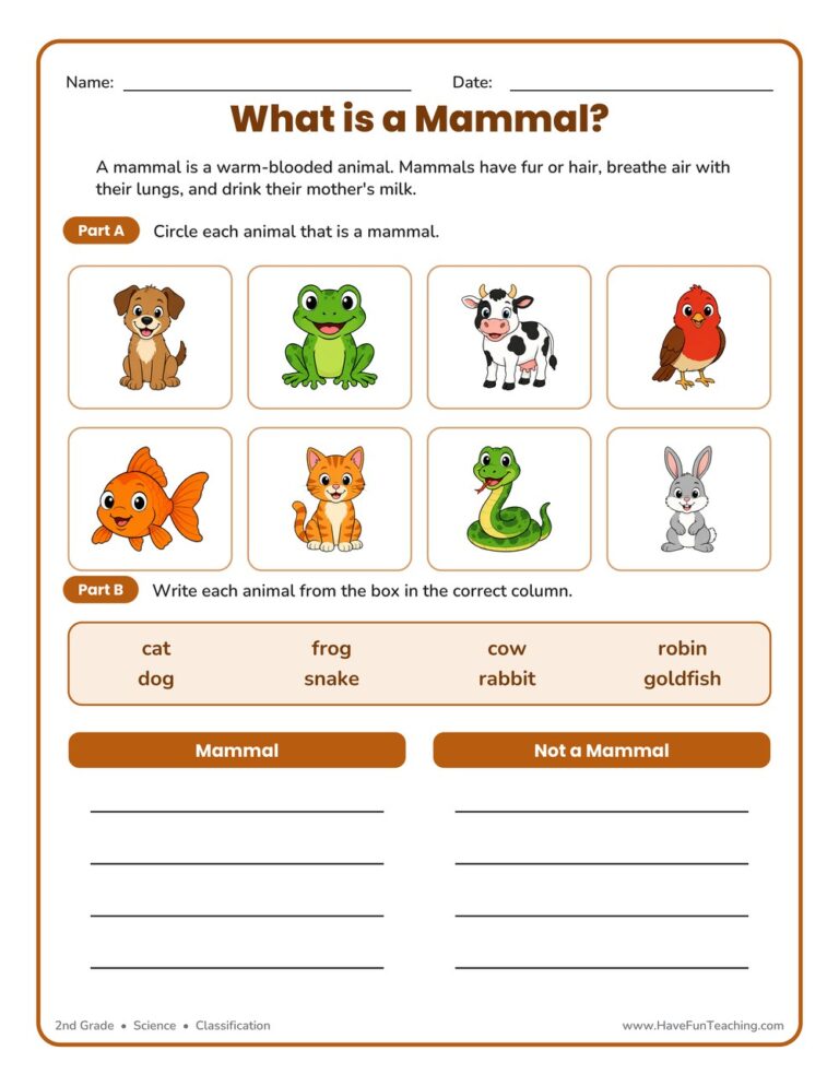 Mammal Classification Worksheet