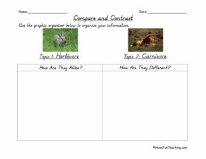 Herbivore and Carnivore Compare and Contrast Graphic Organizer