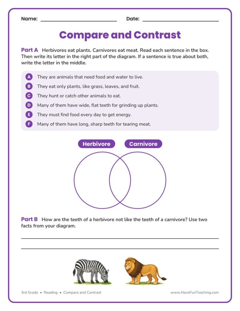 Herbivore and Carnivore Compare and Contrast Graphic Organizer