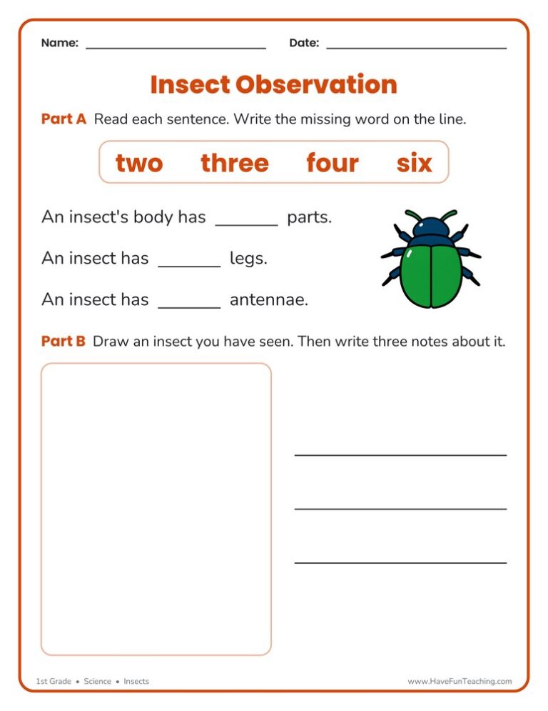 Insect Observation Worksheet