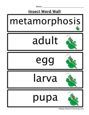 Insects Word Wall