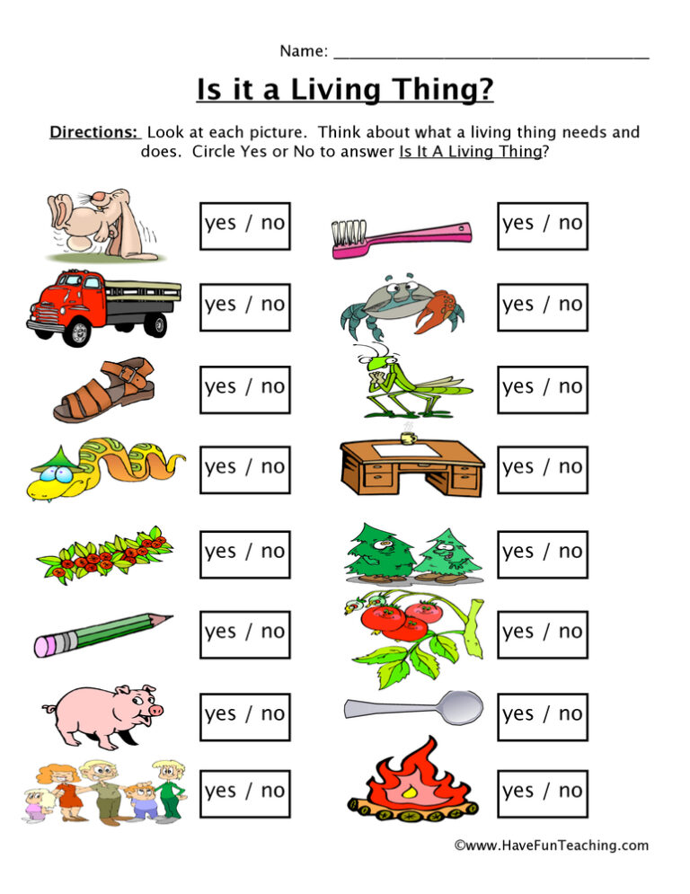 Is it a Living Thing Worksheet