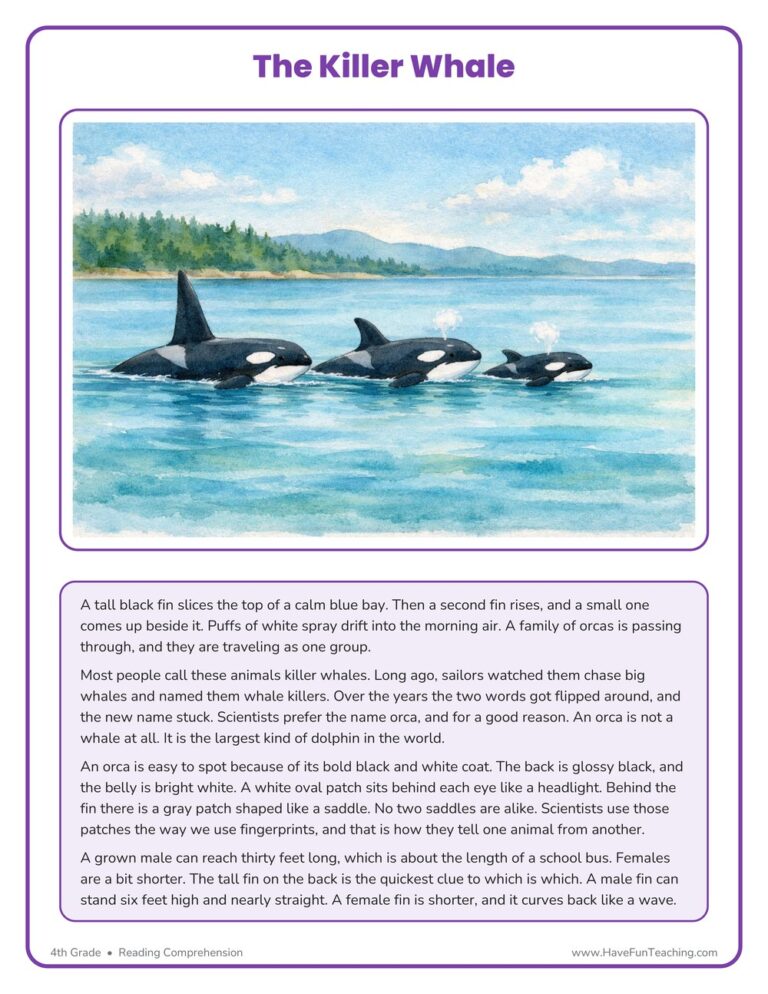 Killer Whales Reading Comprehension Worksheet