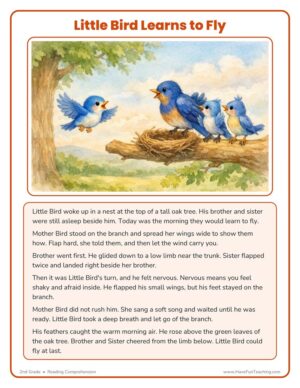 2nd Grade reading comprehension worksheet - Little Bird Learns to Fly animal story