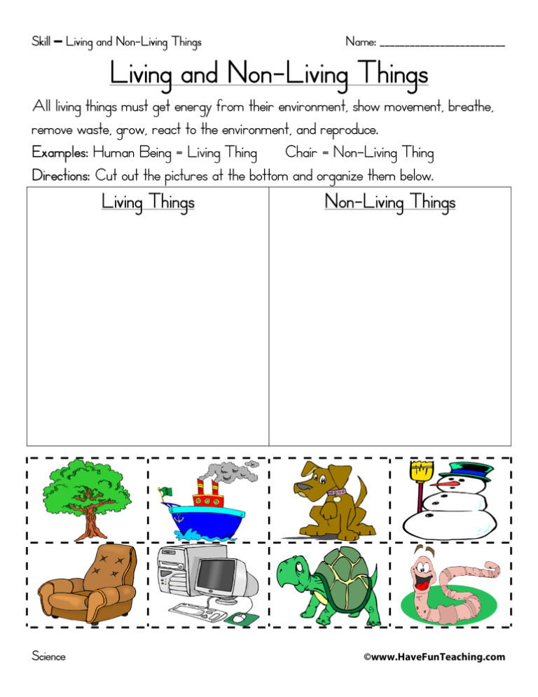 Living and Non-Living Things Sort Worksheet
