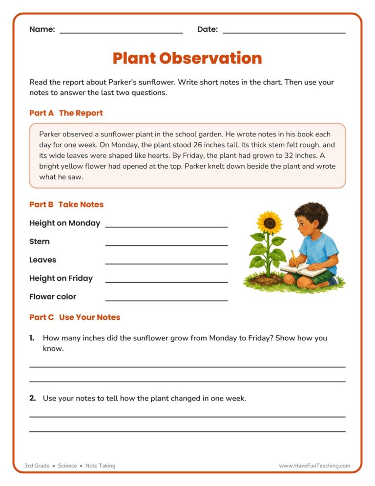 Plant Observation Worksheet
