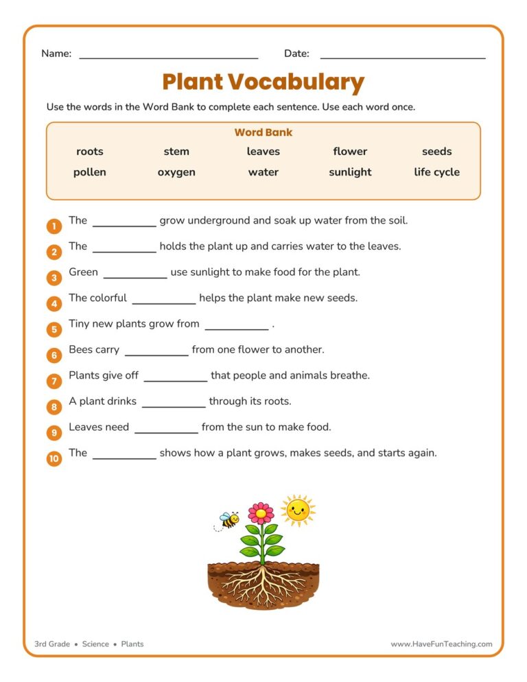 Plant Vocabulary Worksheet