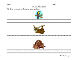 Rainforest Sentences Worksheet