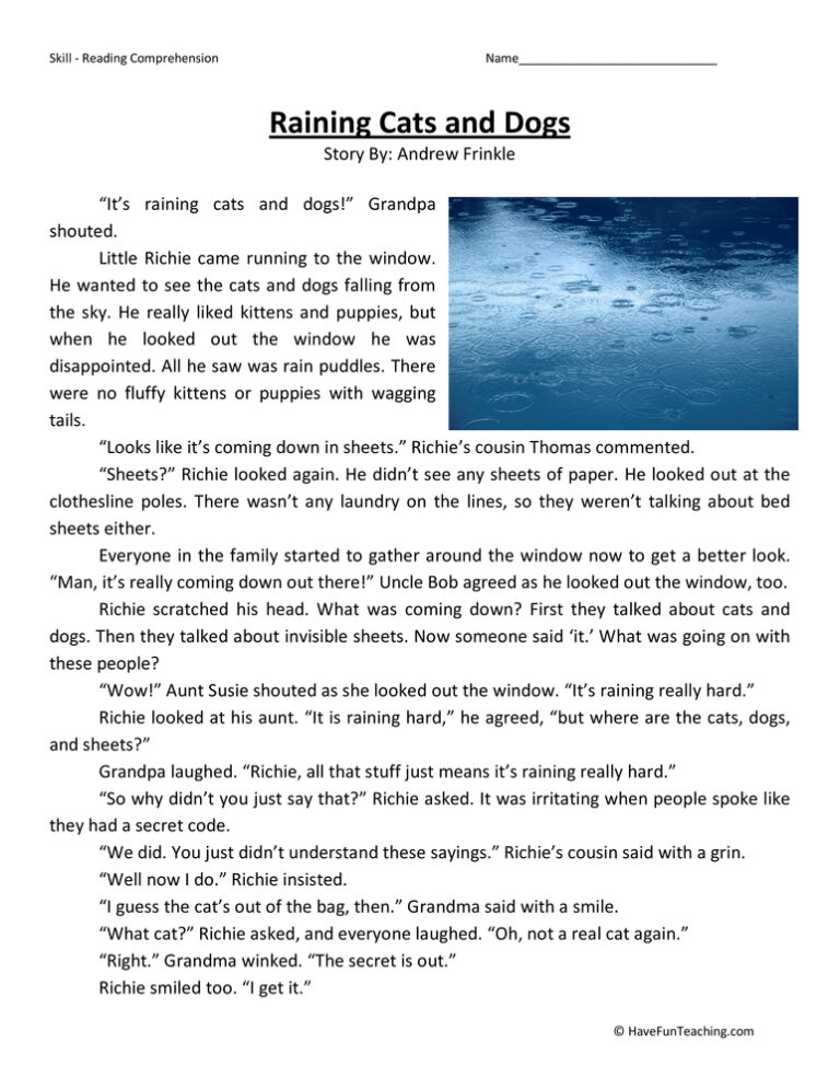 Raining Cats and Dogs Reading Comprehension Worksheet
