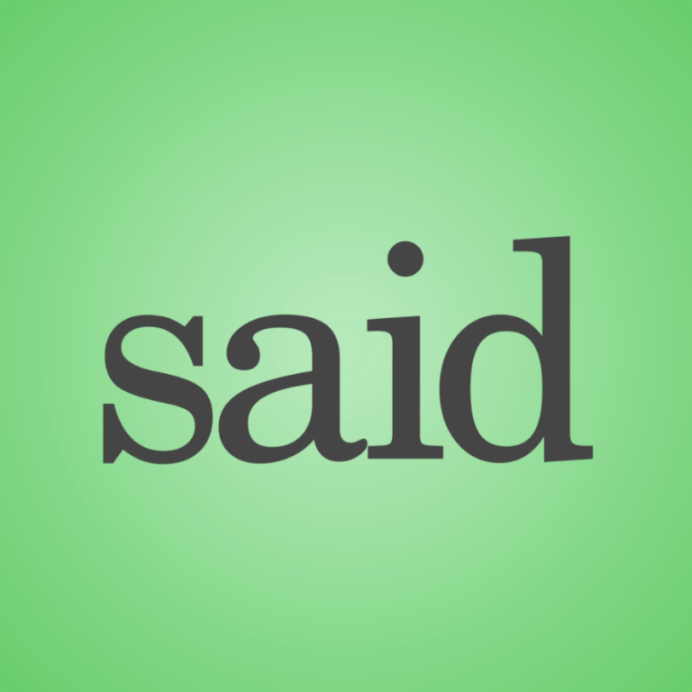 Said Song (Animated Music Video)