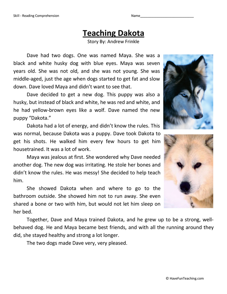 Teaching Dakota Reading Comprehension Worksheet
