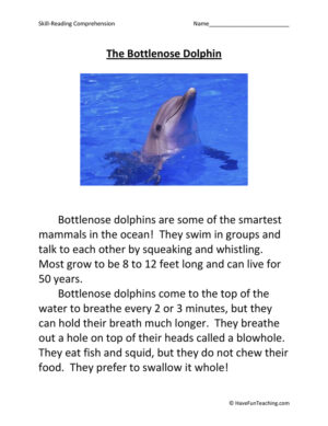The Bottlenose Dolphin Reading Comprehension Worksheet