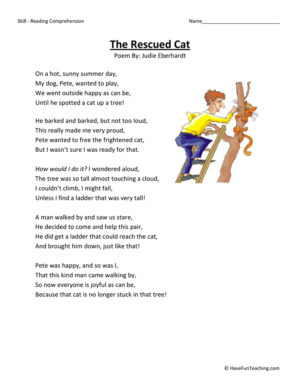 The Rescued Cat Reading Comprehension Worksheet