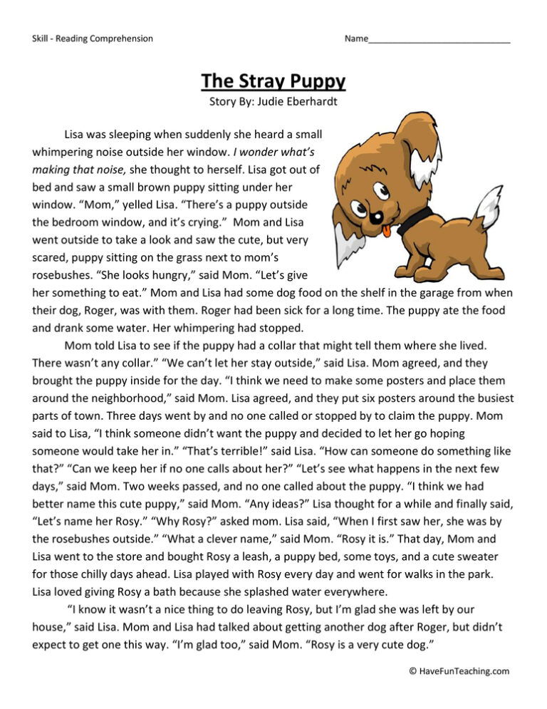 The Stray Puppy Reading Comprehension Worksheet