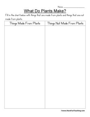 What Do Plants Make Worksheet