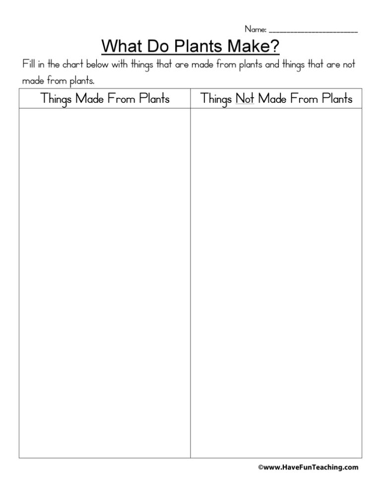 What Do Plants Make Worksheet