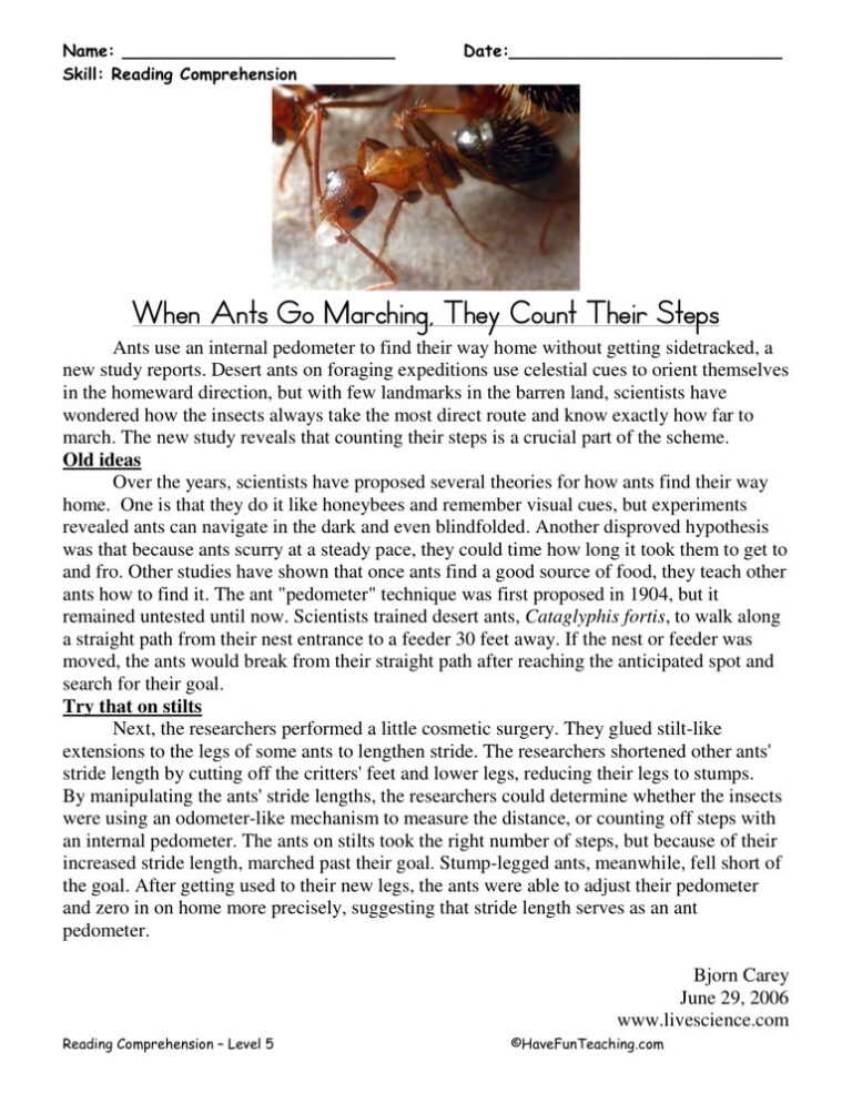 When the Ants Go Marching Reading Comprehension Worksheet