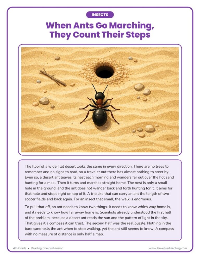When the Ants Go Marching Reading Comprehension Worksheet