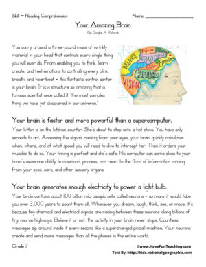Your Amazing Brain Reading Comprehension Worksheet