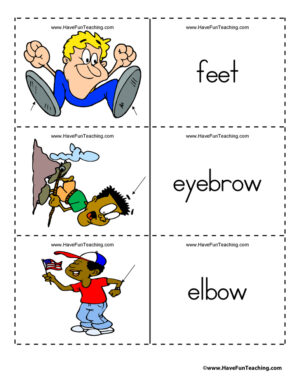 Body Parts Flash Cards