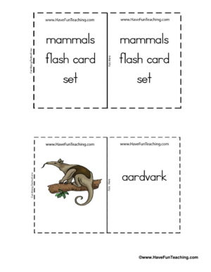 Cartoon Mammal Flash Cards