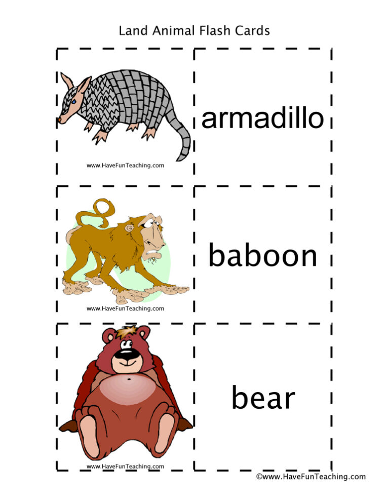 Land Animal Flash Cards