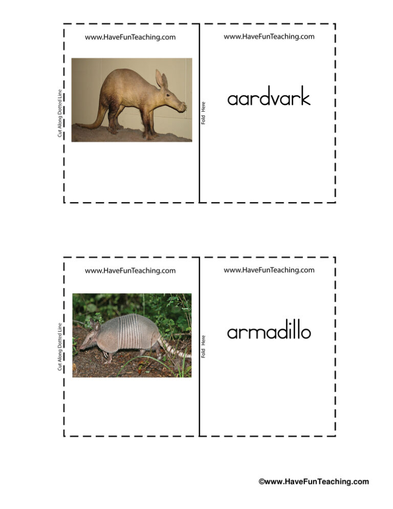 Mammals Real Life Flash Cards