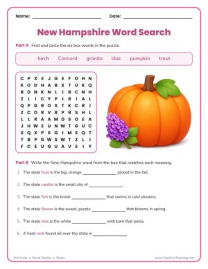 3rd Grade New Hampshire word search worksheet - find state words and complete fact clues