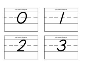Numbers 0 to 50 Flash Cards