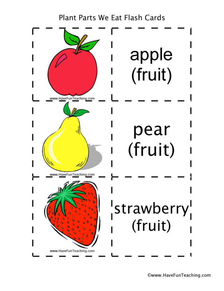 Plants We Eat Flash Cards