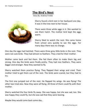 Birds Nest - Reading Comprehension Worksheet